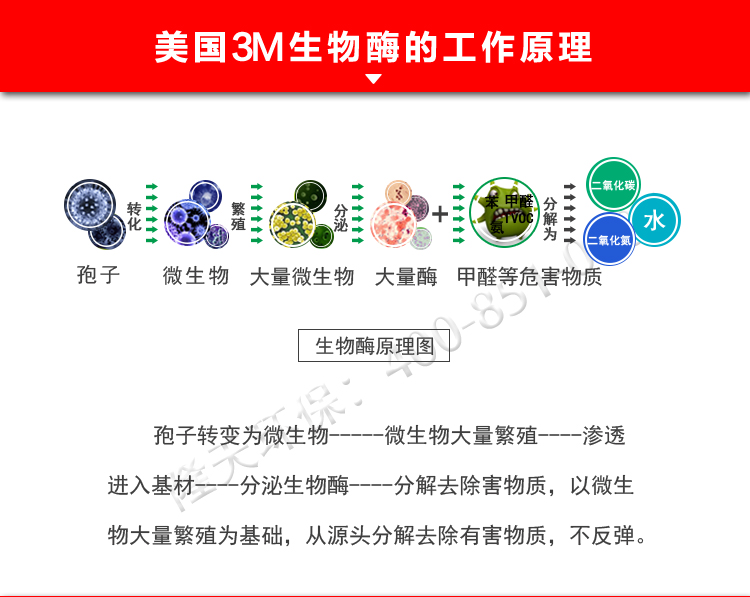 3M生物酶除甲醛产品工作原理